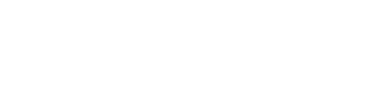 Cardiovascular Institute of New England